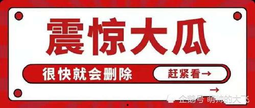 娱乐圈八卦文件吃瓜,明星背后的惊人真相，吃瓜群众必看！  第2张