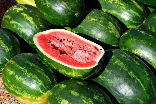 吃瓜最新免费,最新免费生成攻略大公开  第2张