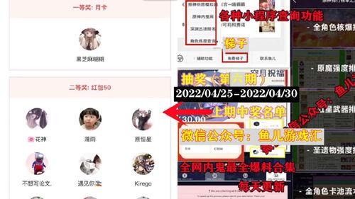 草神爆料官方视频大全,揭秘神秘力量与奇幻冒险之旅